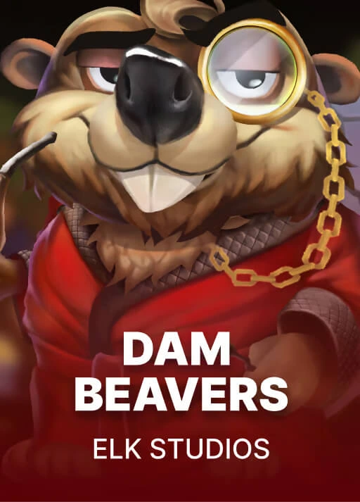image Dam Beavers