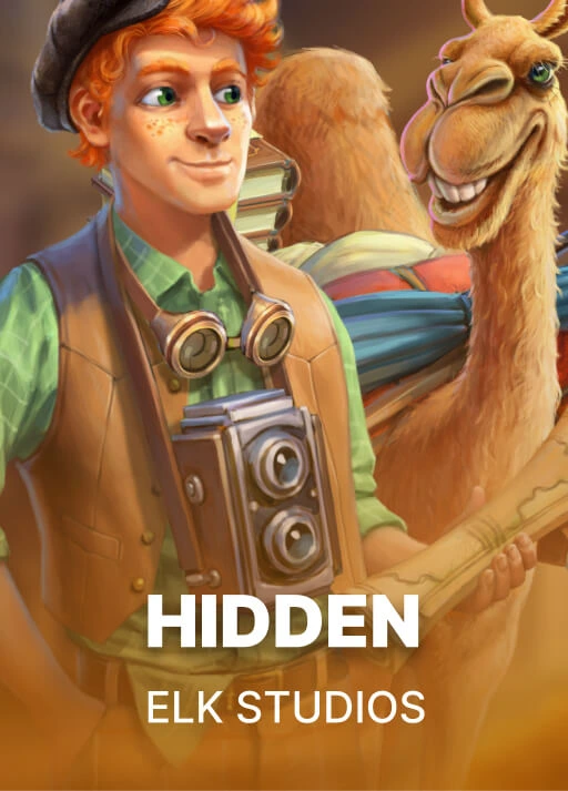 image Hidden