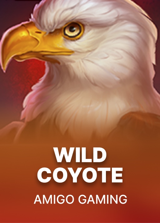 image Wild Coyote