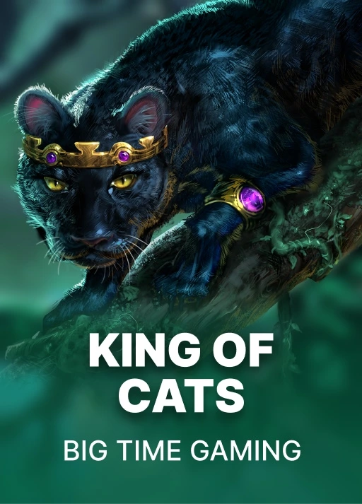 King of Cats