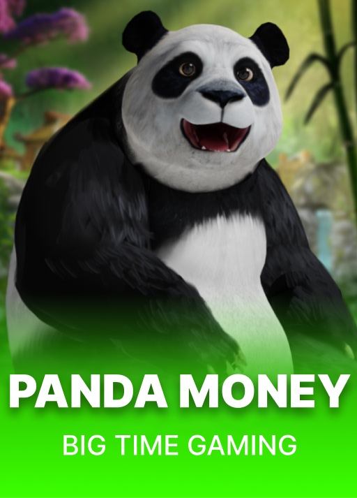 image Panda Money