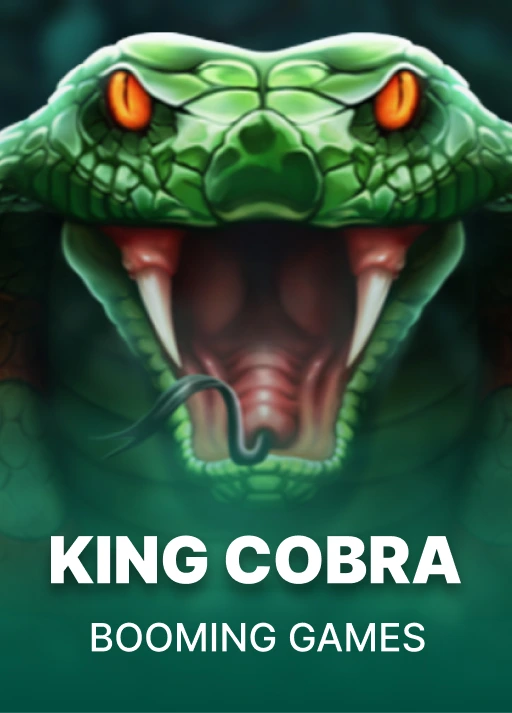 [부밍] Booming <span class="na-bar"></span> King Cobra