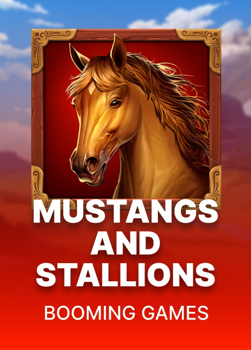 Mustangs and Stallions