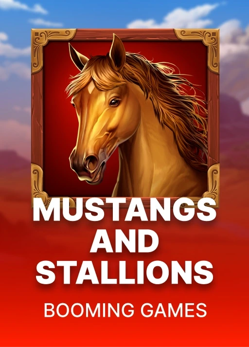 image Mustangs and Stallions
