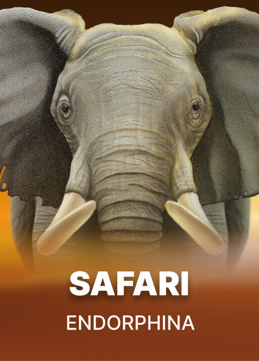 image Safari