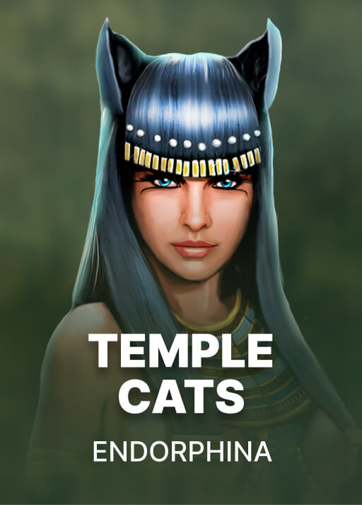 image Temple Cats