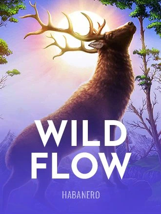 와일드 플로우 [Wild Flow]