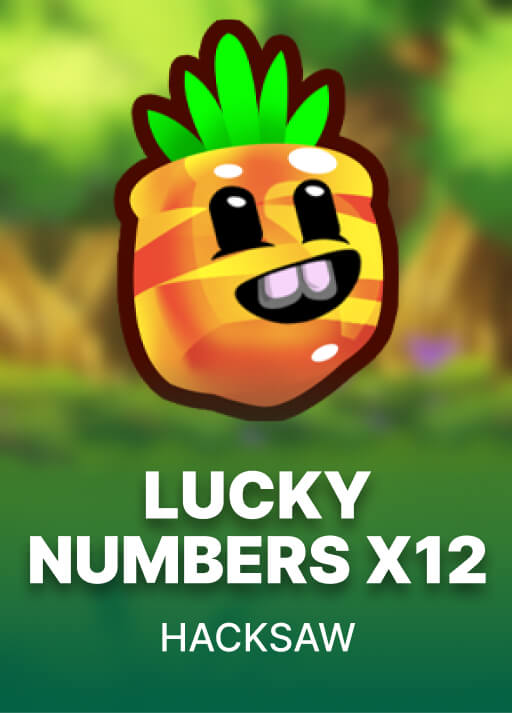 image Lucky Numbers x12