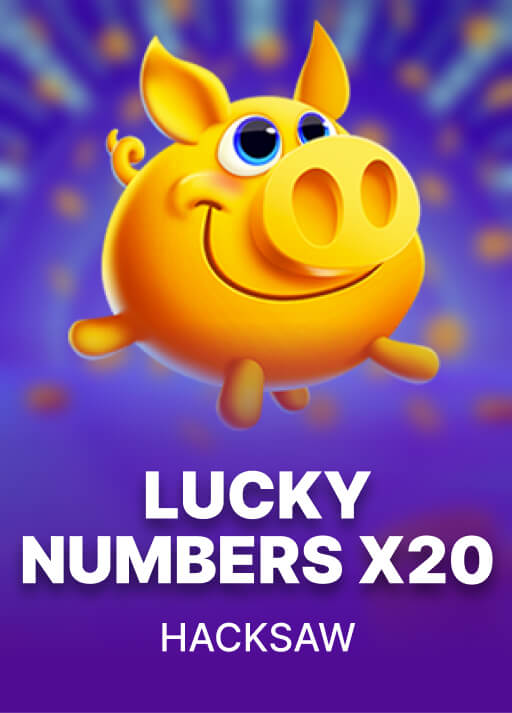 image Lucky Numbers x20