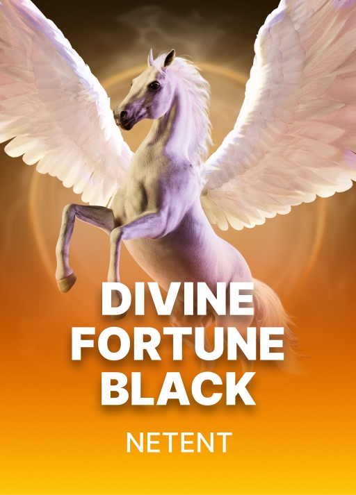 image 디바인 포춘 블랙 [Divine Fortune Black]