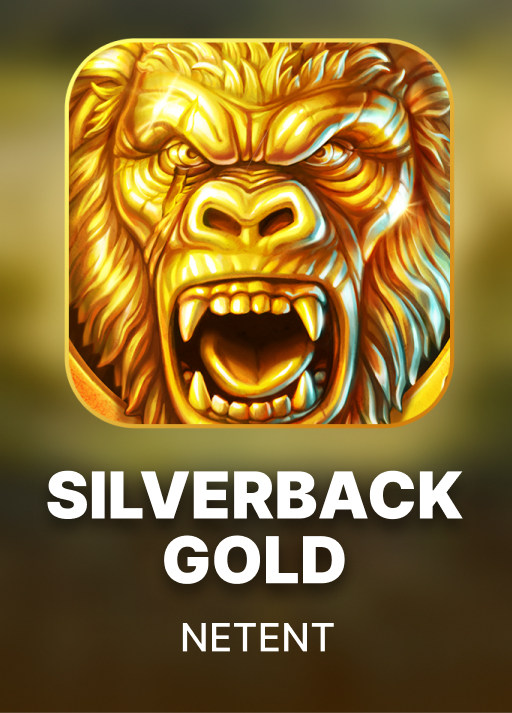 image 실버백 골드 [Silverback Gold]