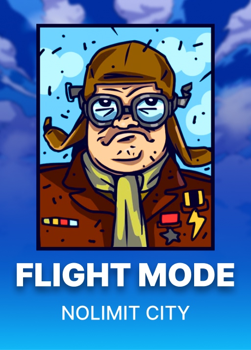 image 플라이트 모드 [Flight Mode]