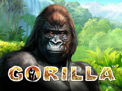 image Gorilla