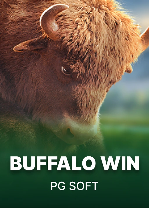 Buffalo Win