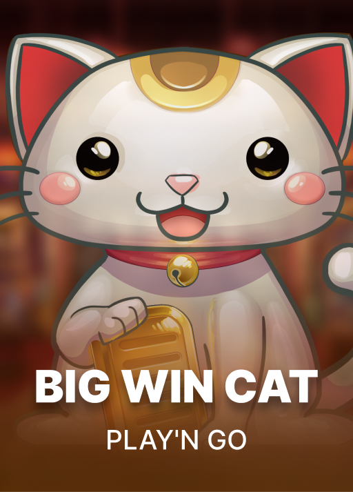 image Big Win Cat