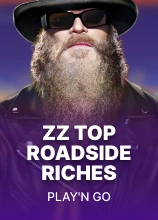 ZZ Top Roadside Riches