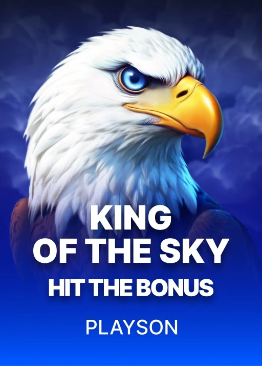 image King of the Sky: Hit the Bonus
