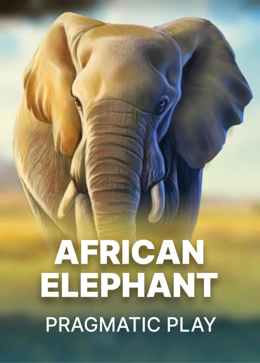 image 아프리카의 코끼리 [African Elephant]