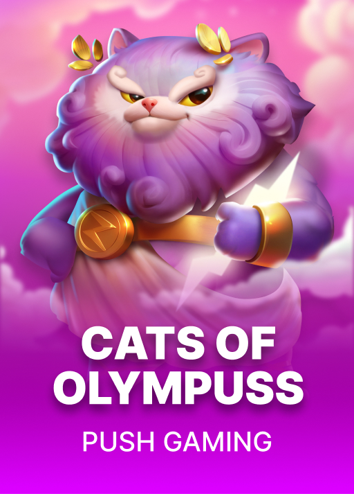 image Cats Of Olympuss