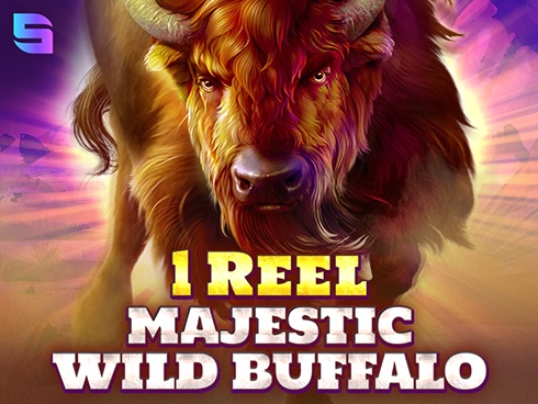 image 1 Reel - Majestic Wild Buffalo