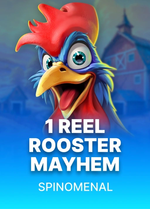 image 1 Reel - Rooster Mayhem
