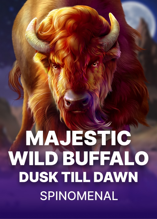 image Majestic Wild Buffalo - Dusk Till Dawn