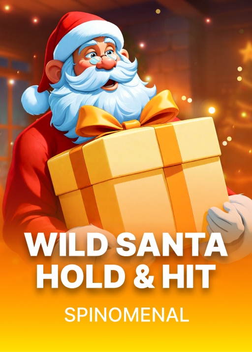 image Wild Santa - Hold and Hit