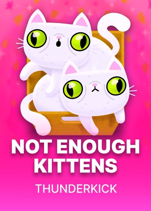 image Not Enough Kittens